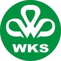 PT. Wira Karya Sakti